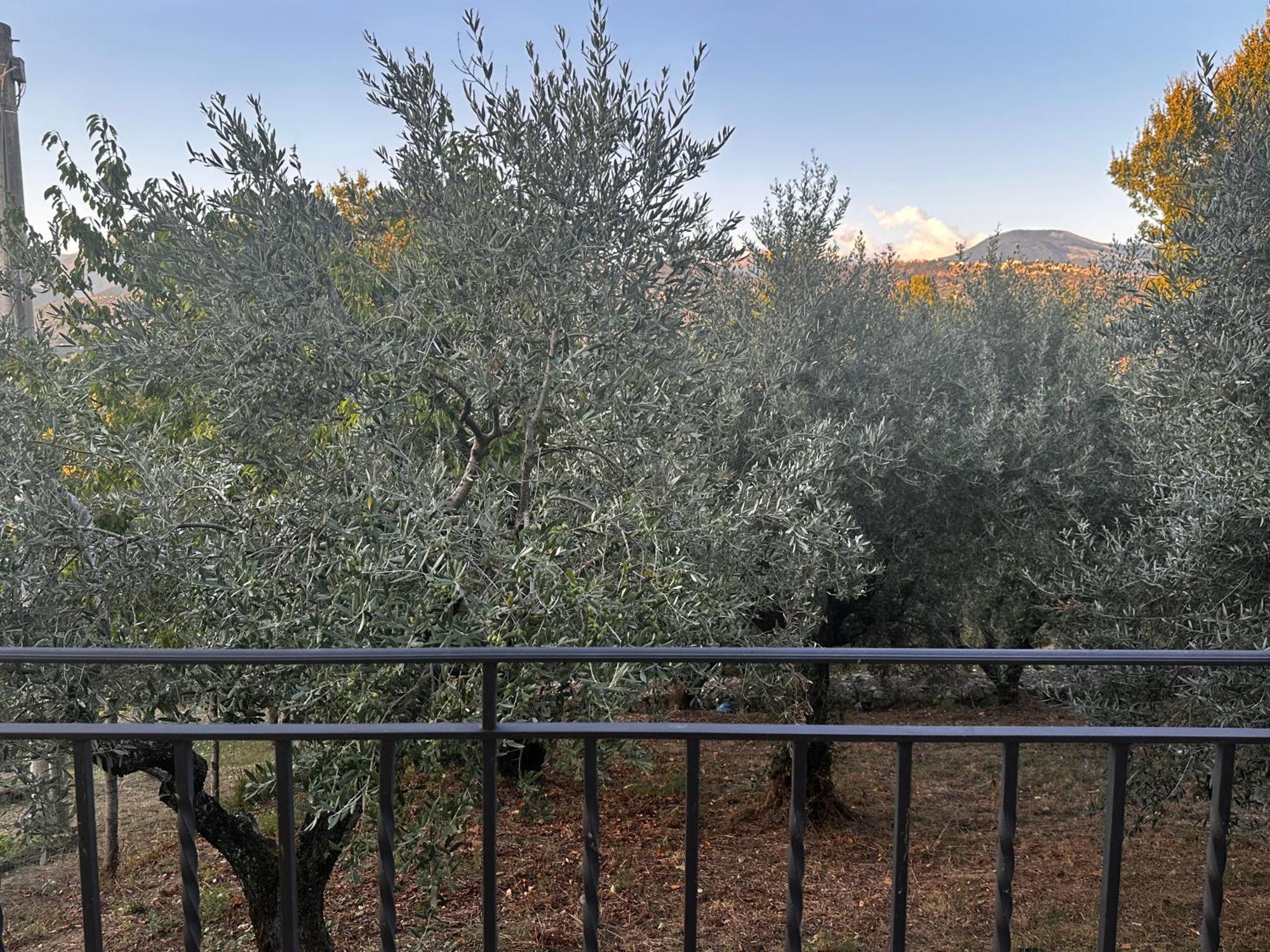 Apartament La Casa In Collina Veroli Zewnętrze zdjęcie